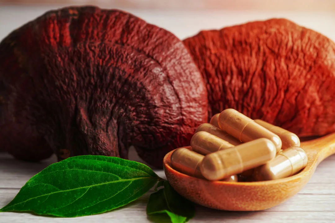 The Best Lion’s Mane Mushroom Supplement: 5 Top Brands Reviewed ...