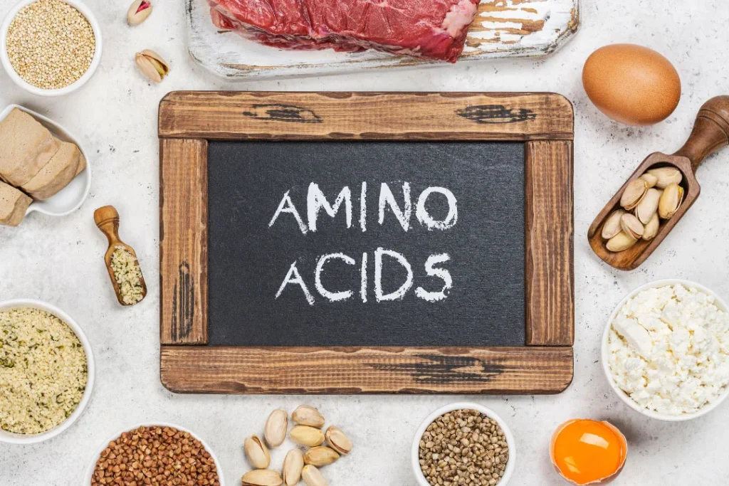 Sources of amino acid. 