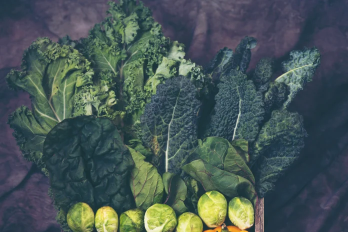 green leafy vegetable in dark background