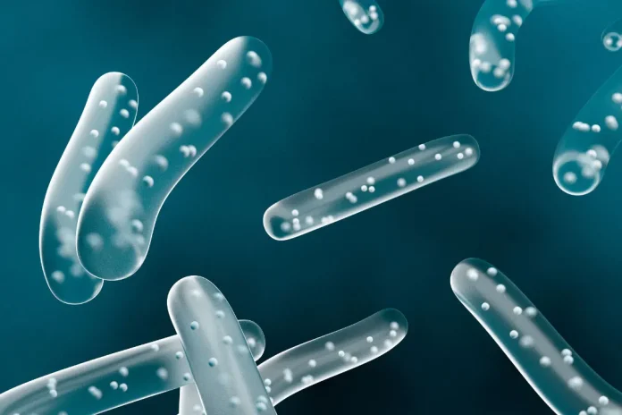 digital art of probiotic bacteria