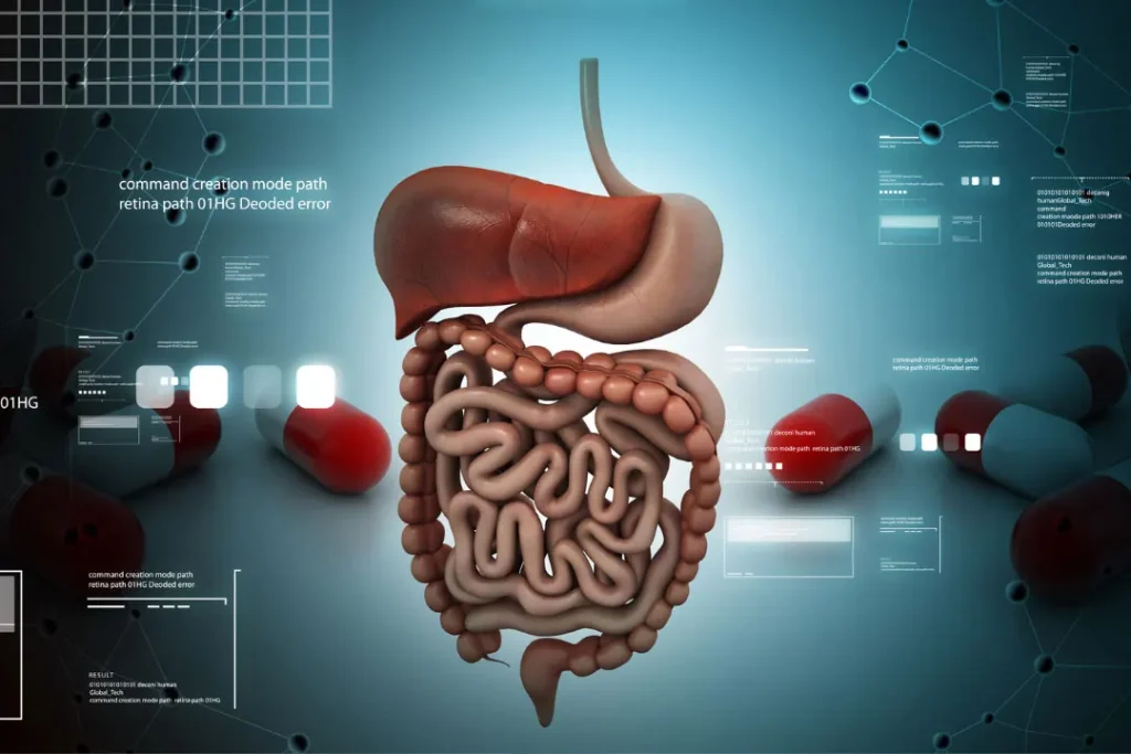 computer work of  digestive system