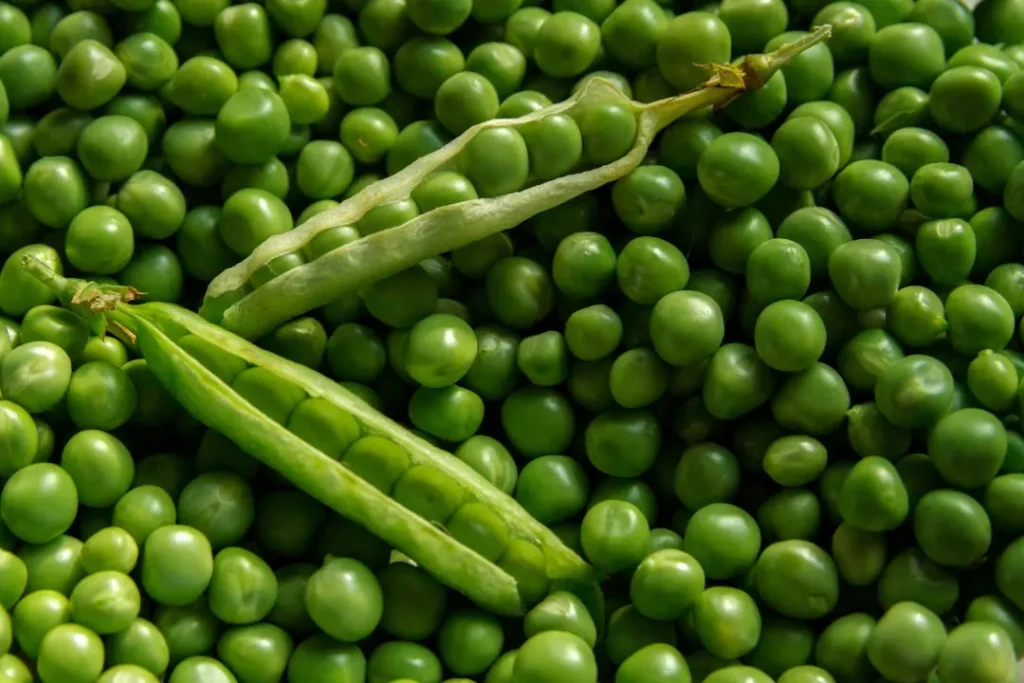 Green peas provides protein. 