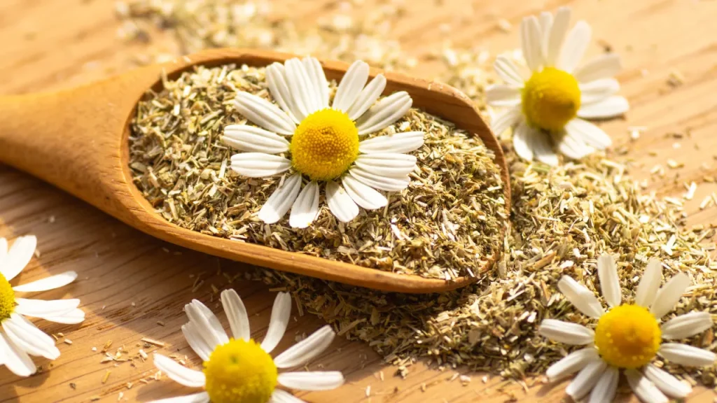 extract of chamomile flower